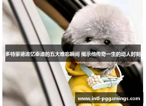 多特蒙德追忆泰迪的五大难忘瞬间 揭示他传奇一生的动人时刻