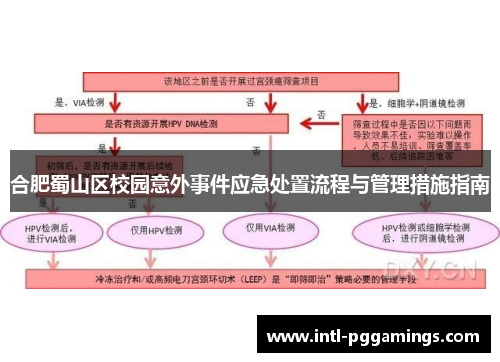 合肥蜀山区校园意外事件应急处置流程与管理措施指南