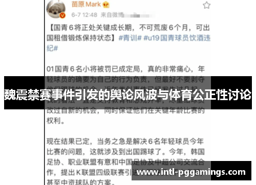 魏震禁赛事件引发的舆论风波与体育公正性讨论