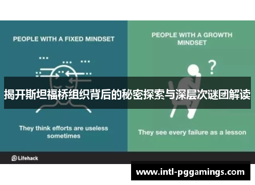 揭开斯坦福桥组织背后的秘密探索与深层次谜团解读